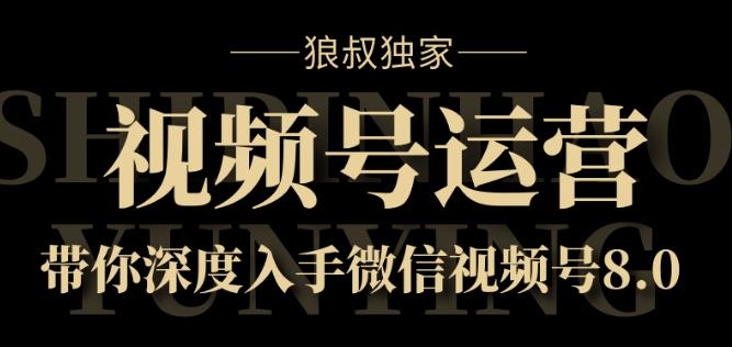 狼叔独家：视频号运营实战课8.0