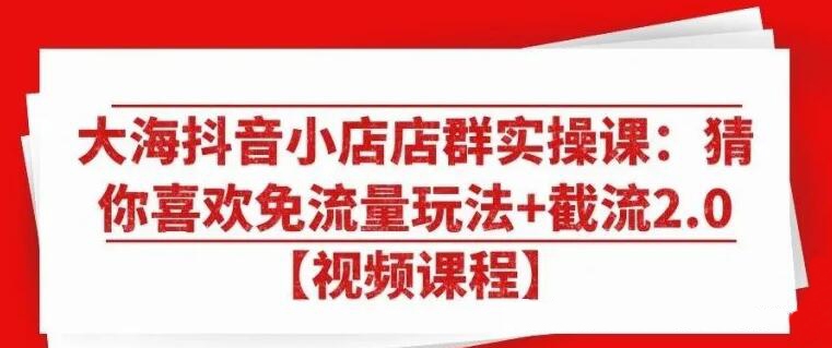大海-抖音无货源小店免流量玩法+截流2.0