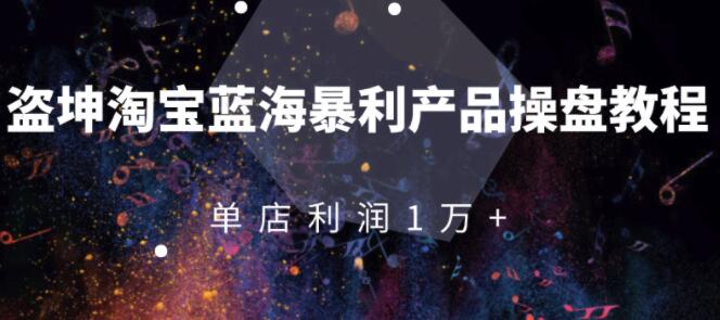 盗坤：蓝海店群从零到月入过万（付费文章）