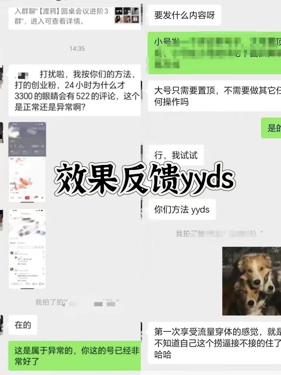 1730306930-c52fa6ea2f56d3d