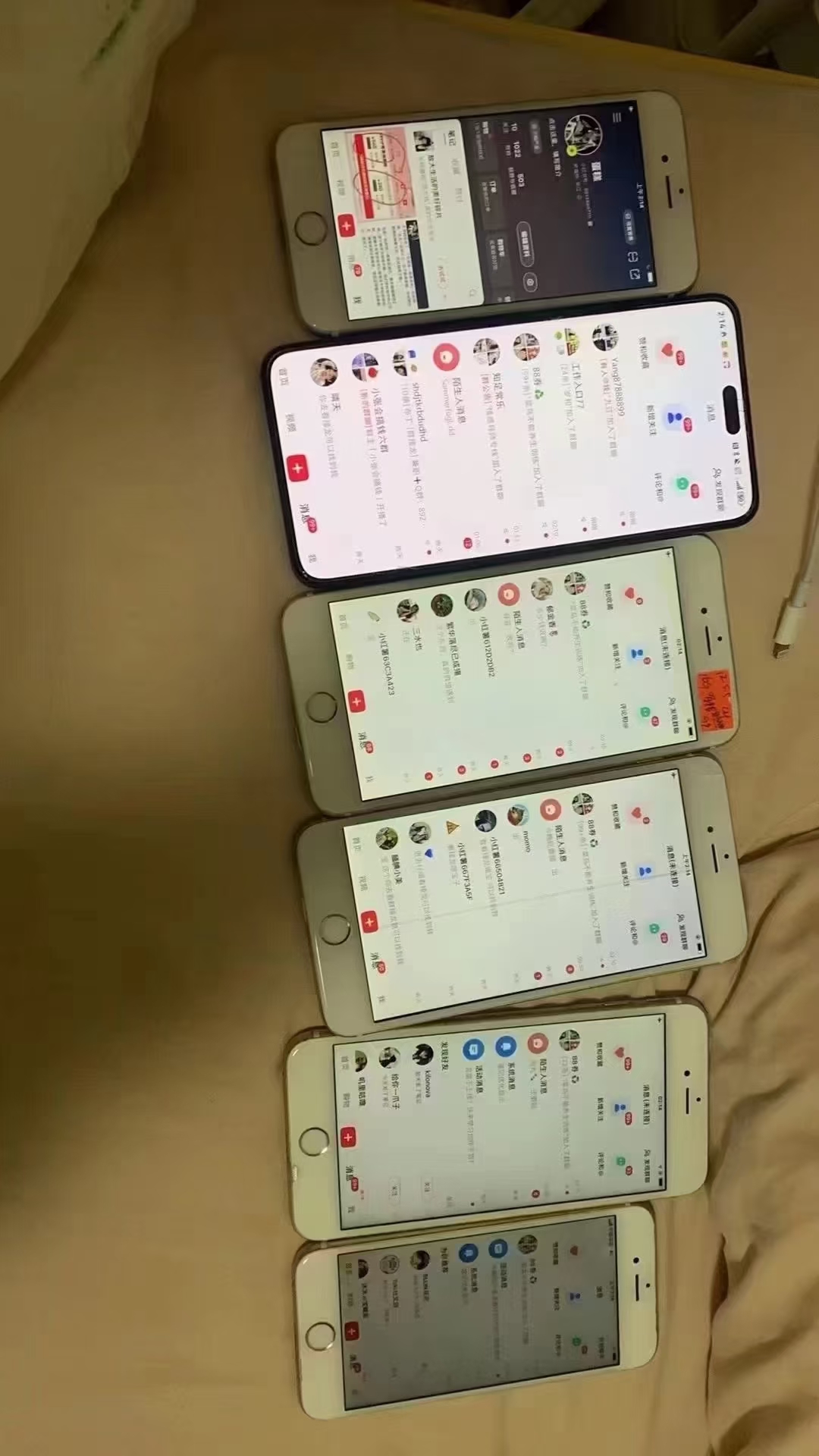 1733382724-53858e158120949