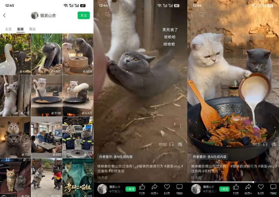 猫咪慢生活短视频教学，AI搞笑萌宠赛道，视频号分成+精选独家+伙伴计划+商单收徒等多种变现方式