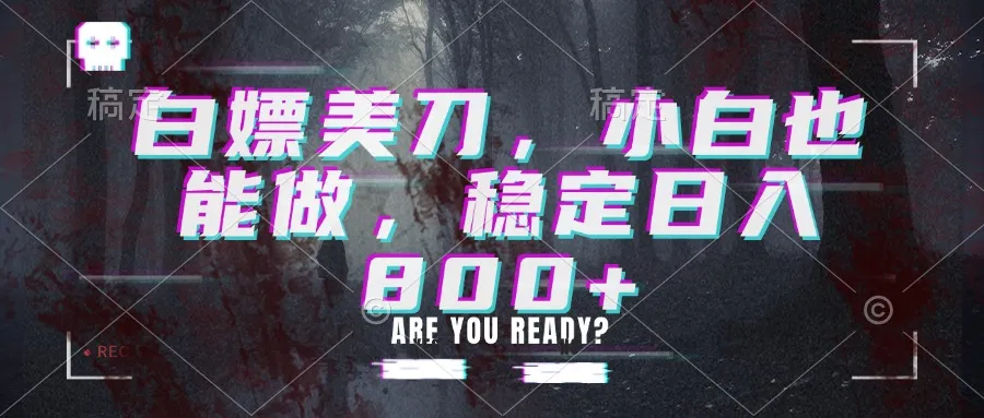 白嫖美刀，小白也能做，稳定日入800+