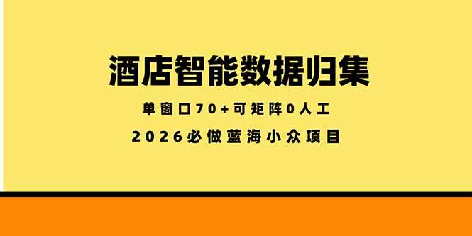 （18500期）酒店智能数据归集，小众蓝海已经稳定半年之久，单窗口70+零成本矩阵开干