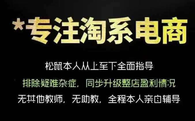 松鼠会电商VIP课程，从基础布局到高阶优化，助你掌握淘宝运营逻辑，提升店铺流量与转化(更新0901)