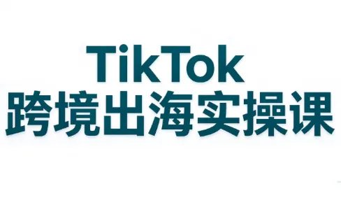 彭老师·TikTok跨境出海实操课