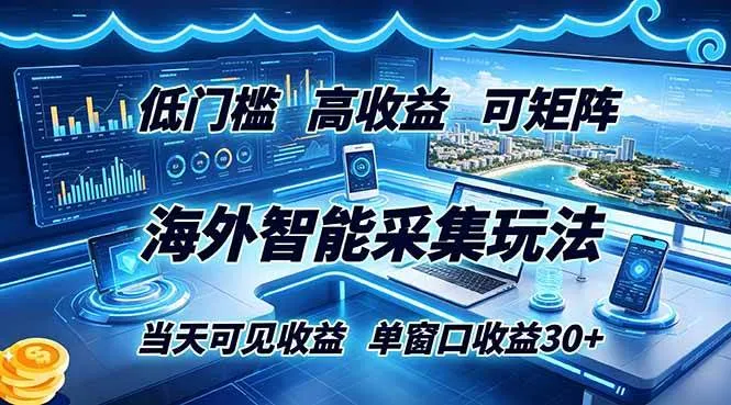 （18955期）海外智能采集玩法，低门槛高单价可矩阵，当天可见收益，单窗口30+