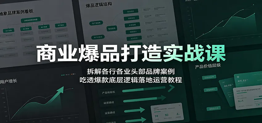 商业爆品打造实战课：拆解各行各业头部品牌案例，吃透爆款底层逻辑落地运营教程