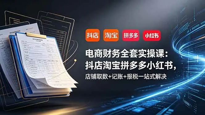 （19001期）电商财务全套实操课：抖店淘宝拼多多小红书，店铺取数+记账+报税一站式解决