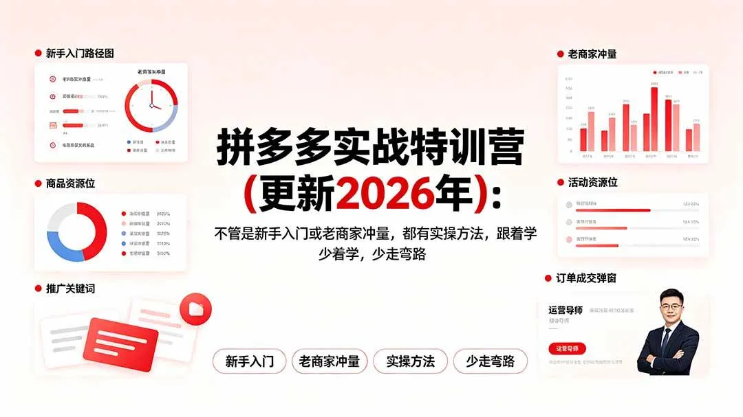 （19291期）拼多多实战特训营(更新2026年)：不管是新手入门或老商家冲量，都有实操方法，跟着学，少走弯路
